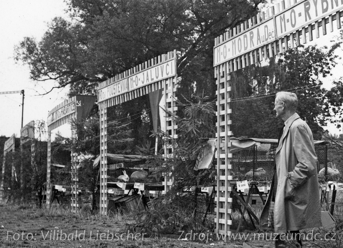 Výstava drobného zvířectva na Labském nábřeží v Děčíně v roce 1966